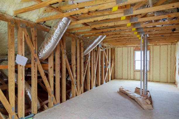 Best Home Insulation Services  in Hornsby Bend, TX
