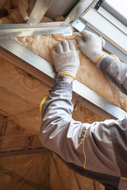 Best Residential Insulation Services  in Hornsby Bend, TX