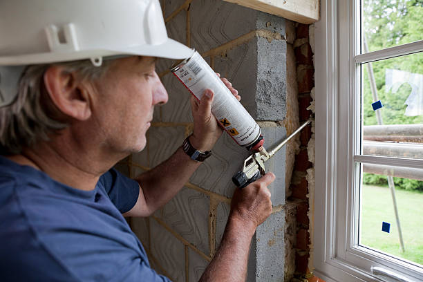 Best Insulation for Commercial Buildings  in Hornsby Bend, TX